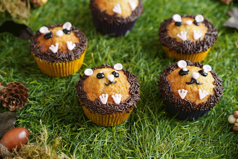 Igel Muffins Backen Mit Kindern Sallys Blog