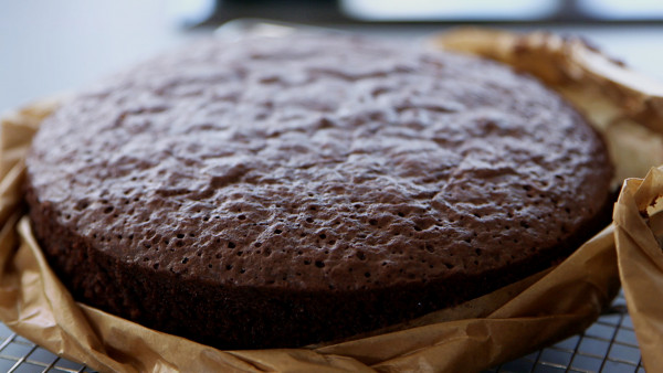 schokokuchen-motivtorten_1-jpg schokokuchen-motivtorten_1-jpg