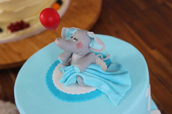 2014_09_15_sally_Tauftorte_02